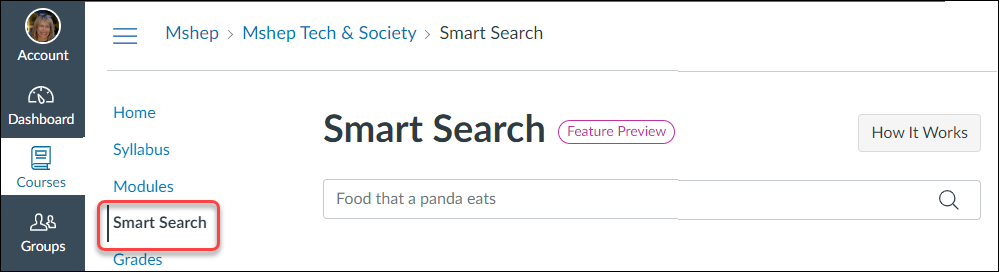 Smart Search displayed in the Canvas course menu with a feature preview.